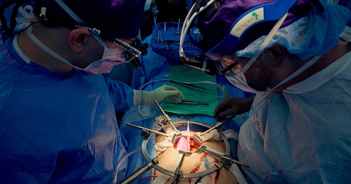 Pig kidney functioning in human for more than a month • PhilSTAR Life